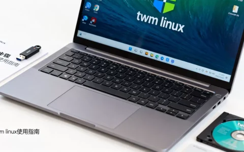 什么是twm linux？，怎么安装使用
