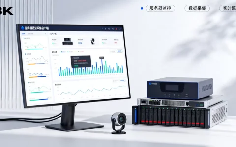 服务器监控采集客户端的主要功能是什么，哪个最好用？