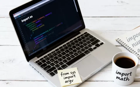 Python中import语句的常见用法是什么？，怎么用