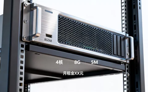 租4核8G5M服务器多少钱？，哪里最便宜