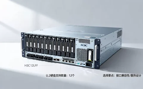 H3C12LFF服务器支持多少个U.2硬盘？，怎么选？