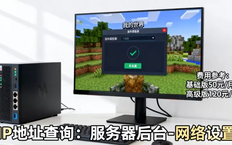 我的世界开服务器了不知道IP地址怎么办？，多少钱