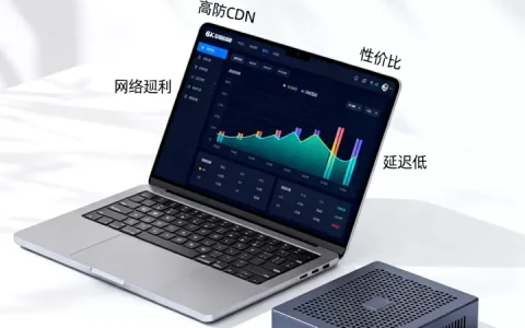 国外高防CDN怎么选择？哪家性价比高延迟低？