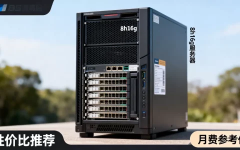 8h16g服务器多少钱一个月？，哪家性价比高