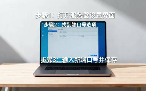 服务器地址设置完在哪里修改端口号？，怎么修改端口号