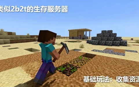 你玩过哪些类似于2b2t的服务器，怎么玩
