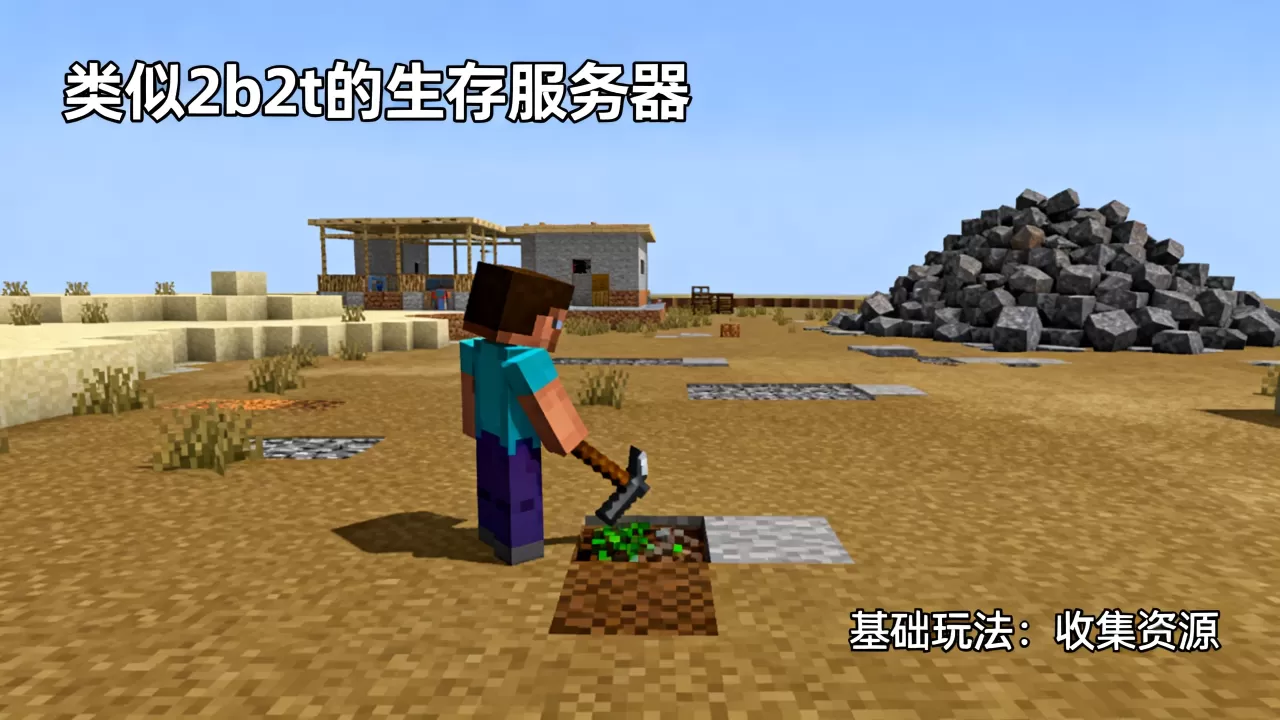 你玩过哪些类似于2b2t的服务器，怎么玩