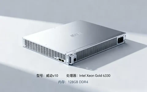 威动v10服务器最新款一台多少钱，性能参数怎么样？