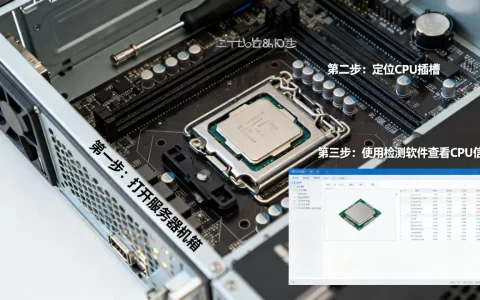 查看服务器CPU有哪些方法，具体步骤是什么