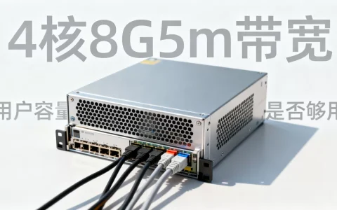 4核8G5m带宽服务器到底能容纳多少用户？，够用吗？