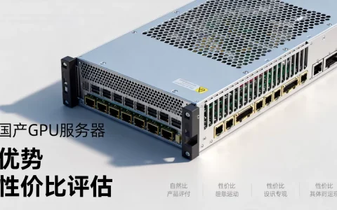 国产GPU服务器有哪些优势，性价比如何评估