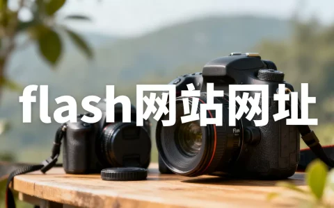 flash网站标题和网址