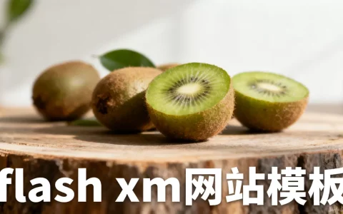 flash xml网站模板
