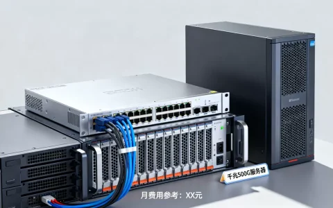 千兆500G服务器组一个月多少钱？，怎么选划算