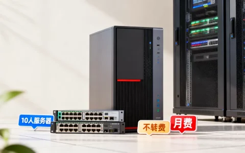 mc10人服务器一个月多少钱，哪家便宜？