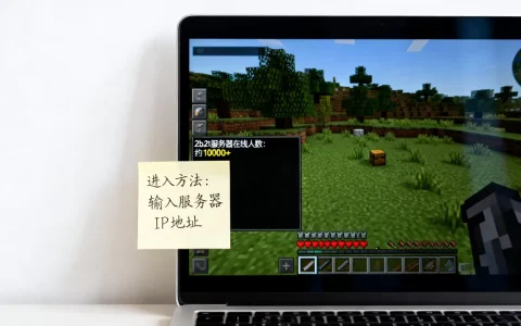 2b2t到底是一个多少人的服务器，怎么进2b2t