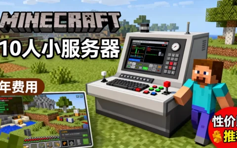 我的世界10人小服务器一年多少钱，哪家便宜？