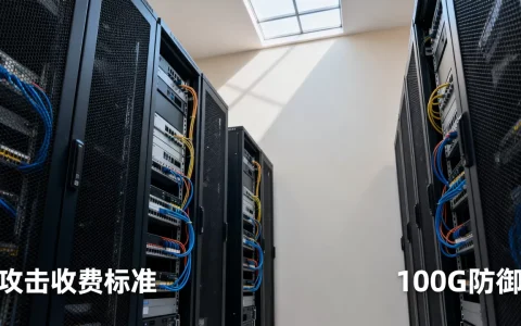 100G防御服务器攻击一次需要多少钱，攻击一次怎么收费