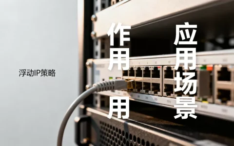 浮动IP策略的作用是什么，有哪些应用场景？