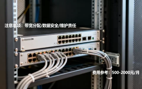 服务器合租有哪些注意事项，合租服务器多少钱一个月？