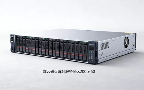 鑫云磁盘阵列服务器ss200p-60多少钱，值得买吗