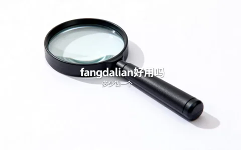 fangdaolian好用吗，多少钱一个？
