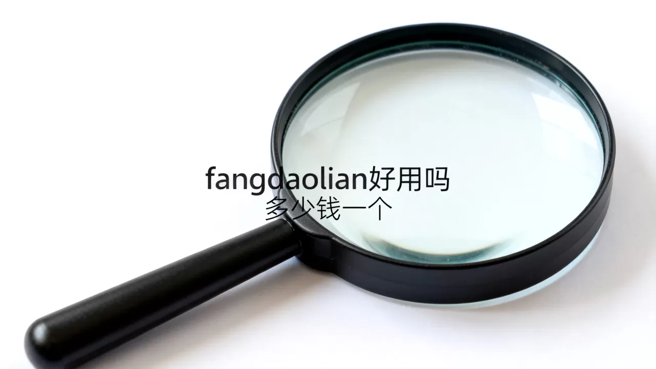 fangdaolian好用吗，多少钱一个？