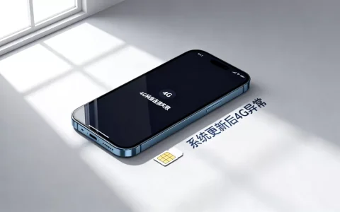手机更新后为什么不能使用4G网络连接服务器，怎么回事？