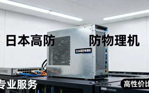 日本高防物理机租用到底哪家专业公司好，哪家性价比高？