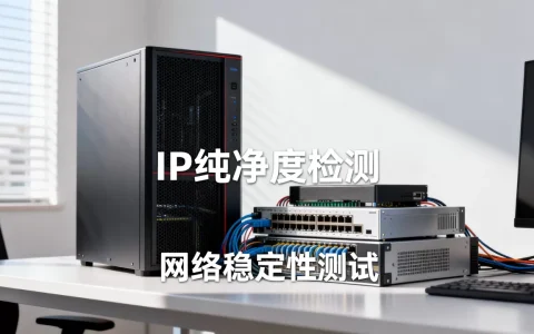香港站群物理机租用哪家IP纯净？，怎么选