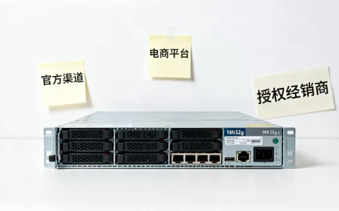 哪些渠道可以拿到服务器16h32g