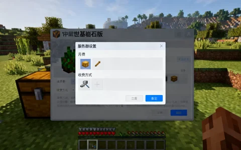我的世界基岩版服务器一个月多少钱，怎么收费