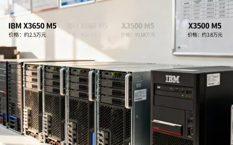 在都市网景做IBM服务器都有哪些，多少钱？