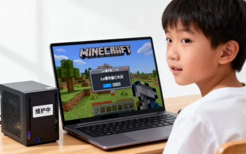 那个炸我的世界ice服务器的小学生后来怎么样了，怎么回事？