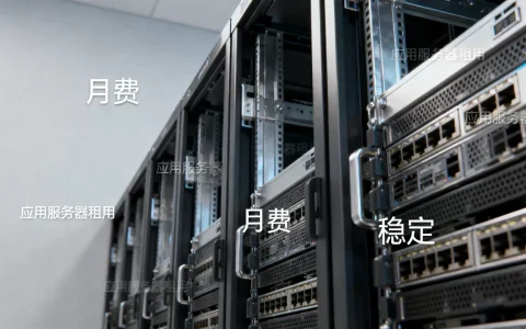 应用服务器租用一个月多少钱，哪家便宜又稳定？