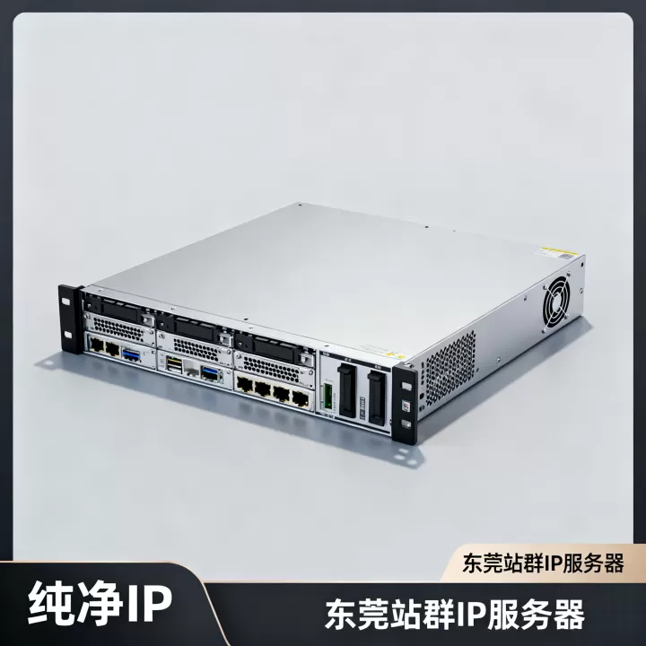 东莞站群纯净IP服务器询价多少钱?东莞站群纯净IP服务器哪家好 东莞站群纯净IP服务器询价多少钱?东莞站群纯净IP服务器哪家好