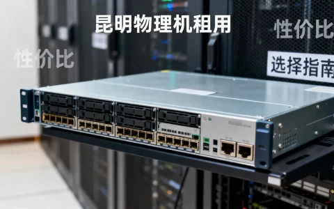 昆明物理机租用，究竟哪家性价比最高，怎么选最划算