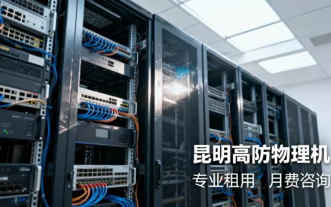 昆明高防物理机租用哪家最专业？，多少钱一个月
