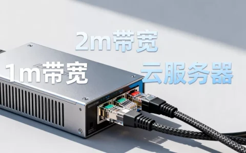 服务器选1m还是2m带宽好，云服务器1m带宽够用吗？