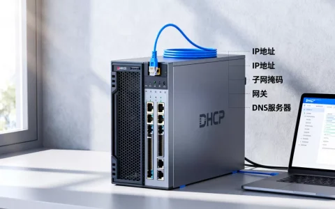 DHCP服务器到底能分配哪些信息，怎么设置？