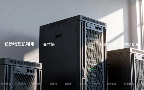 长沙物理机租用，哪家交付最快，哪家性价比高？
