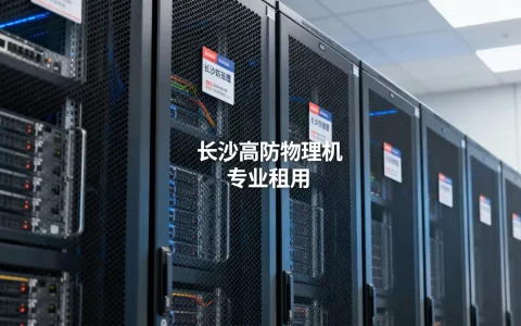 长沙高防物理机租用哪家最专业？，价格多少？