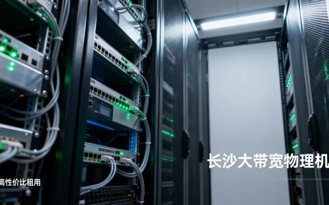 长沙大带宽物理机租用推荐哪家好，性价比高吗？