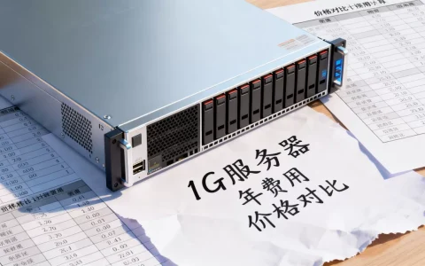 1G服务器一年费用大概多少钱，哪家更便宜？