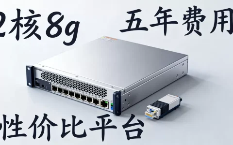 轻量2核8g服务器五年多少钱，哪个平台性价比高？
