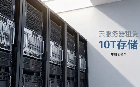 云10t服务器租一年到底要多少钱，性价比高不高
