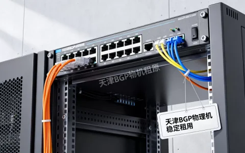 天津BGP物理机租用哪家最稳定？，怎么选