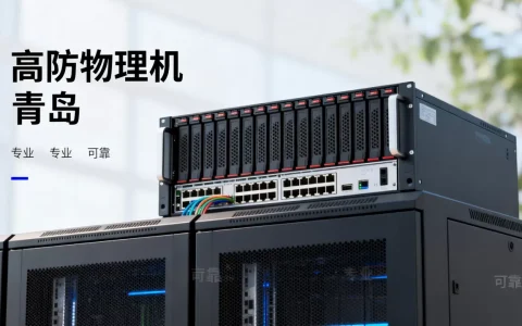 青岛高防物理机租用哪家专业更靠谱，怎么选？