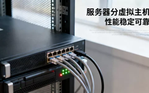 服务器怎样分虚拟主机才正确，哪个性价比高？