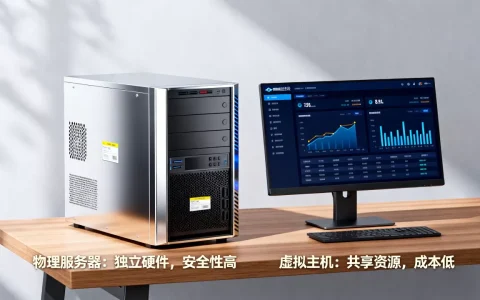 服务器和虚拟主机哪个更安全？，如何选择？